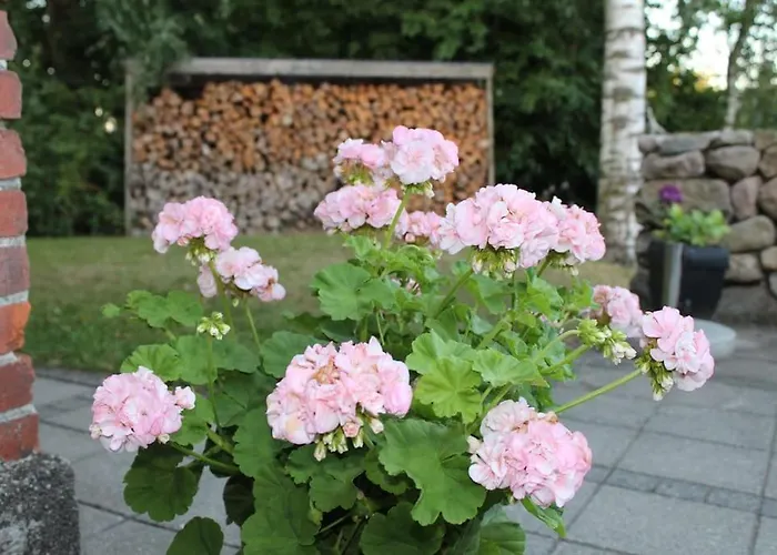 Accommodatie bij particulieren Large Modern Family - “arnely” *